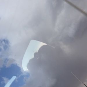 Meet your Posher, Audrey